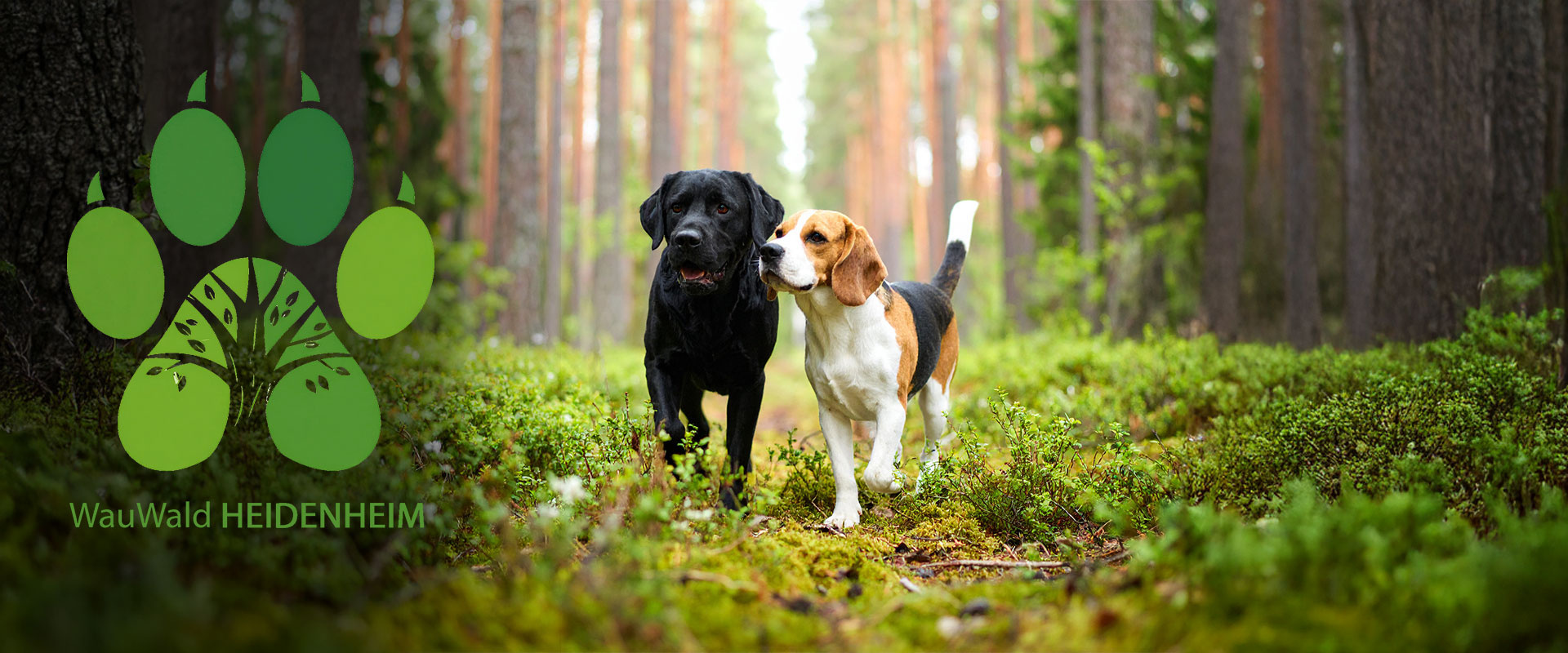 WauWald HEIDENHEIM